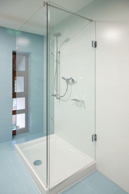 Glass Shower Door